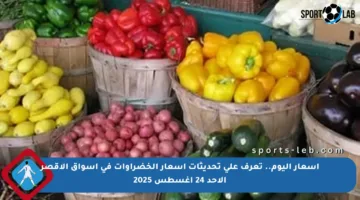 أسعار اليوم.. تعرف على تحديثات أسعار الخضراوات في أسواق الأقصر الأحد 24 أغسطس 2025